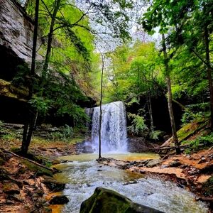 Meet your Posher, Adri